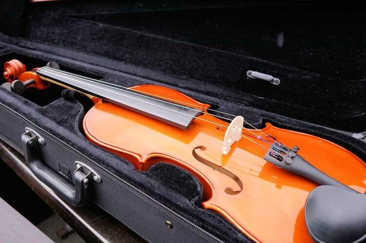 How To Choose The Best Violin Cases?