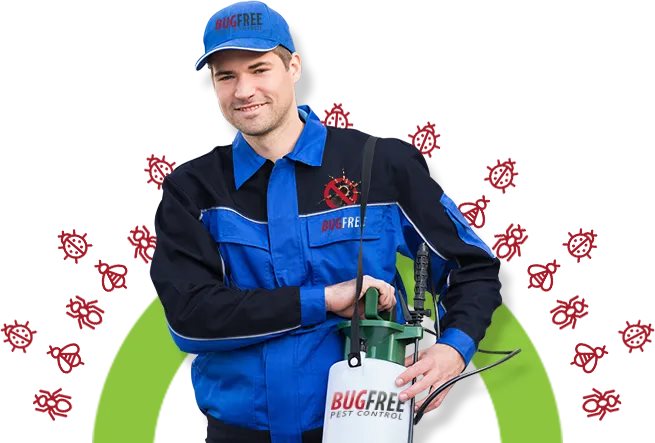 Make Use of Sydney’s Most Reputable Pest Control Company