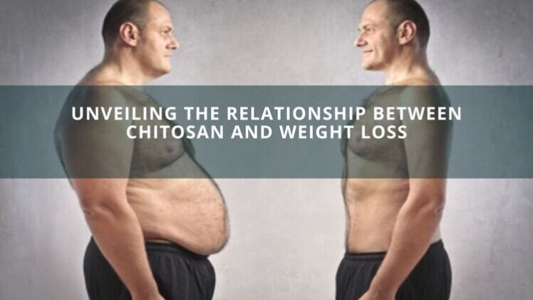 Relationship Between Chitosan and Weight Loss